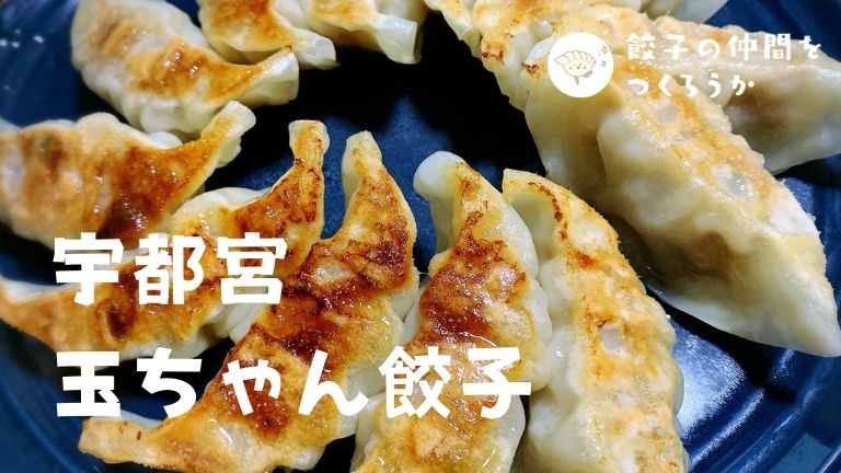 宇都宮 玉ちゃん餃子の評価と口コミ 地元の素材と無添加にこだわった体に優しい餃子 餃子の仲間をつくろうか